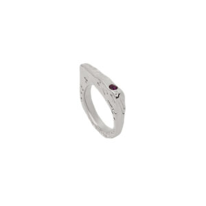 Aegis Ring