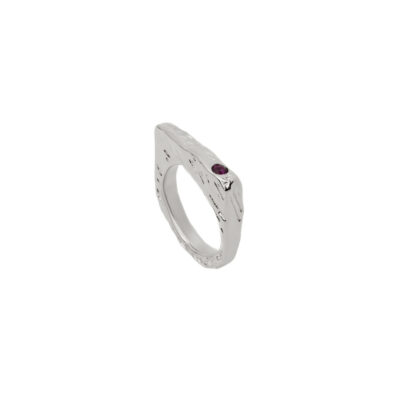Aegis Ring