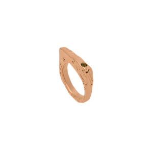 Aegis Ring