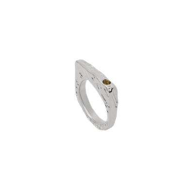 Aegis Ring
