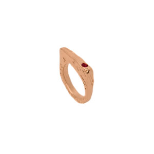 Aegis Ring